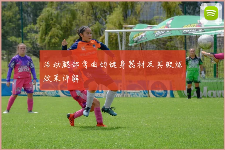 活动腿部弯曲的健身器材及其锻炼效果详解