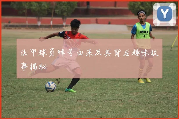 法甲球员绰号由来及其背后趣味故事揭秘