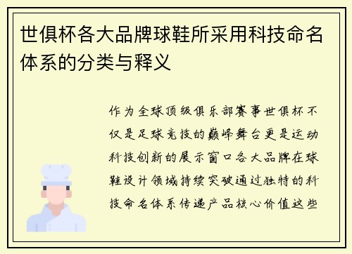 世俱杯各大品牌球鞋所采用科技命名体系的分类与释义